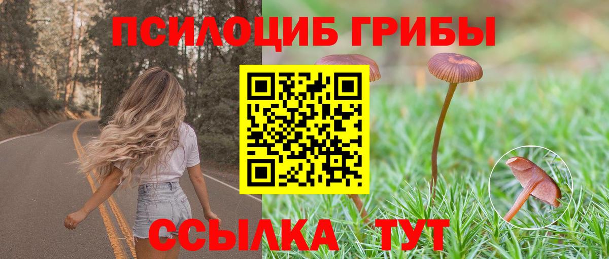 Галлюциногенные грибы Magic Shrooms  Вход с VPN  Алушта 